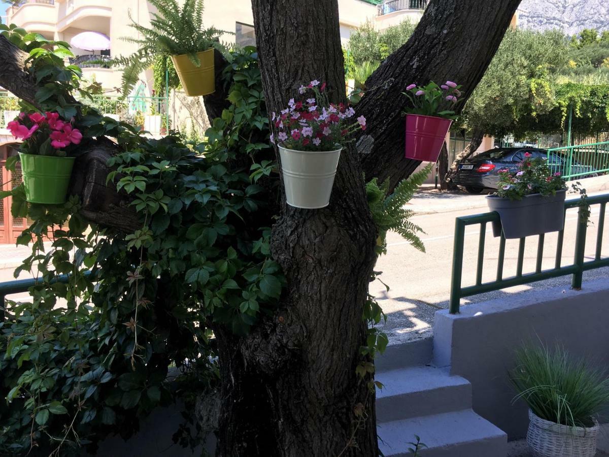 Apartmani Marko Tučepi المظهر الخارجي الصورة