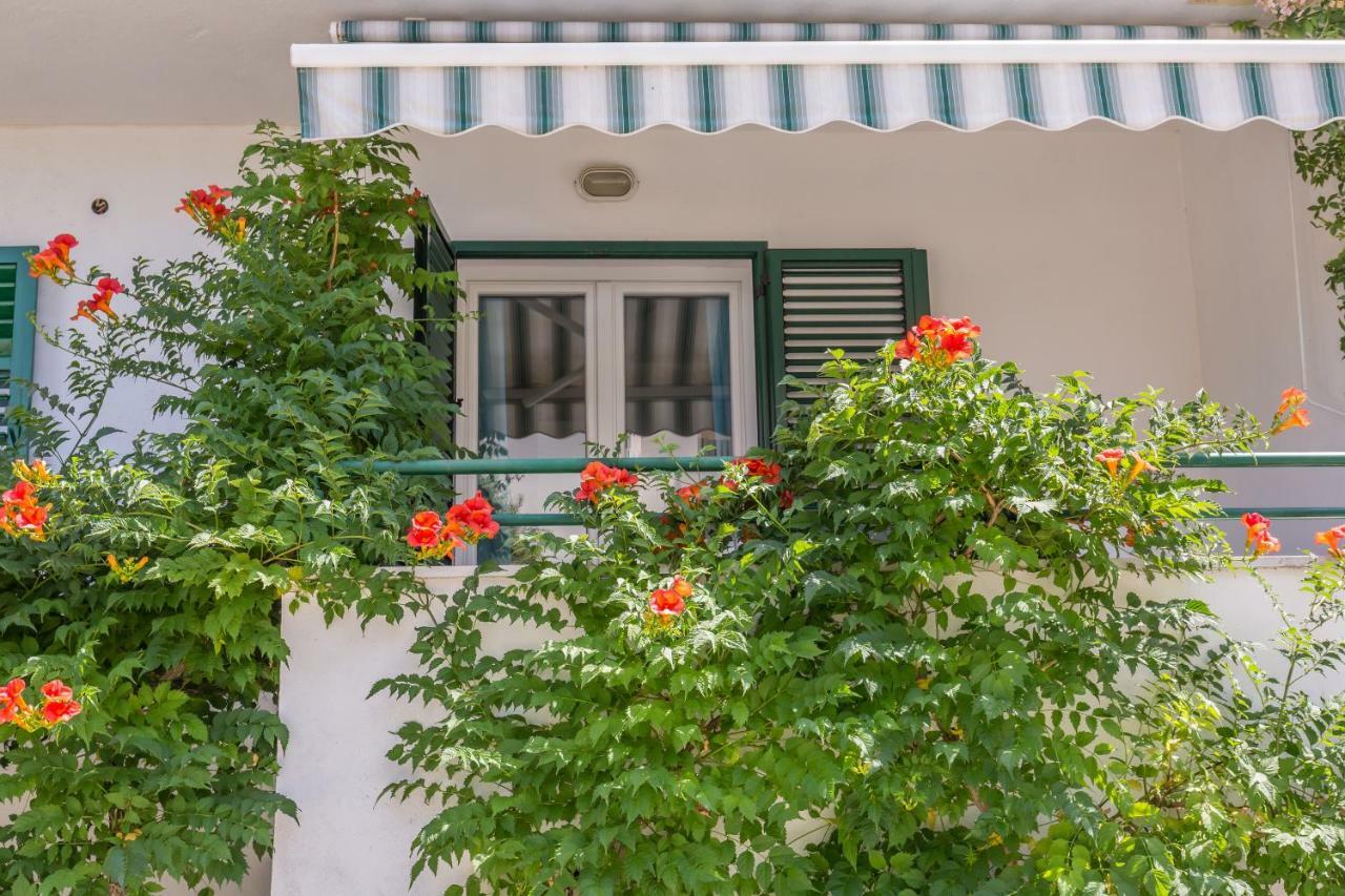 Apartmani Marko Tučepi المظهر الخارجي الصورة